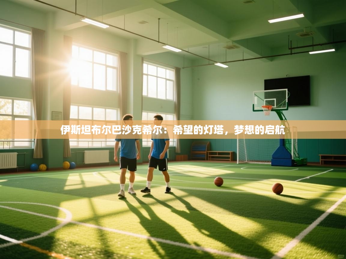 伊斯坦布尔巴沙克希尔：希望的灯塔，梦想的启航  第1张